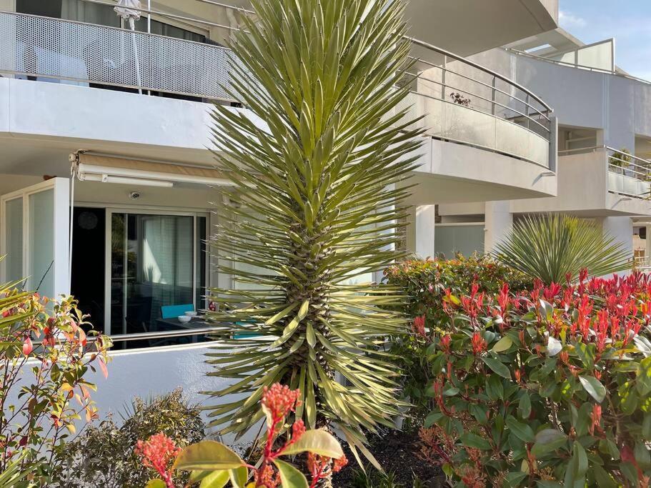 21 - Tres Agreable Rdc Avec Terrasse Et Parking Apartment Бандол Екстериор снимка