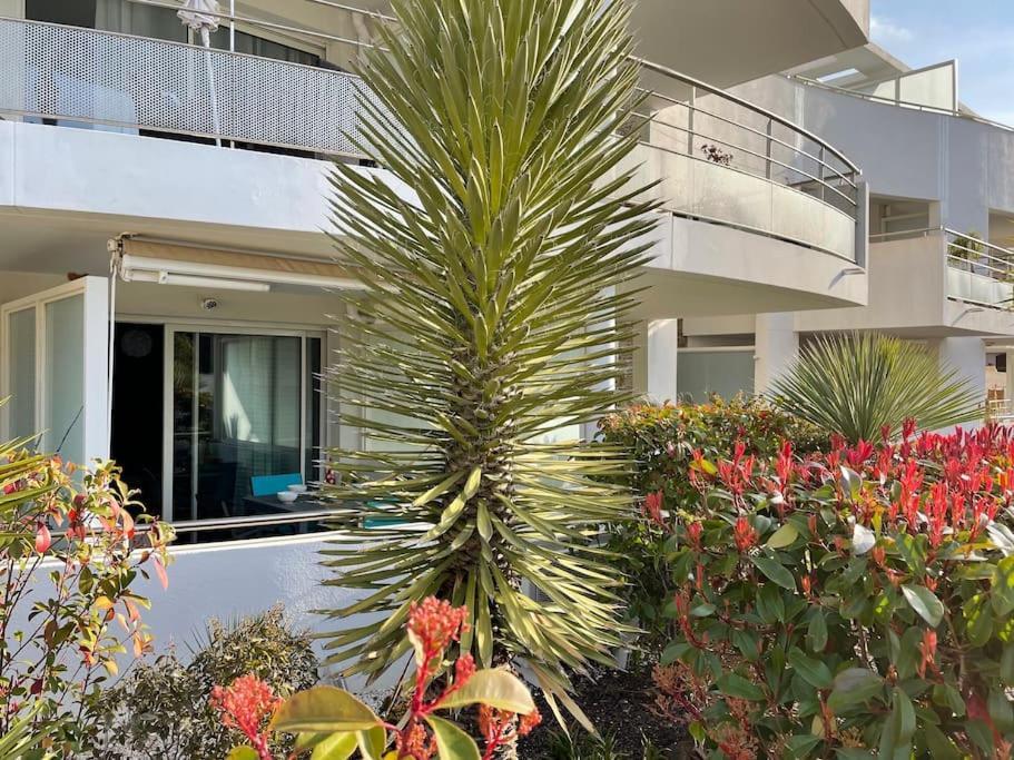 21 - Tres Agreable Rdc Avec Terrasse Et Parking Apartment Бандол Екстериор снимка